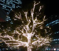 f:id:miracle-magic:20191203223512j:plain