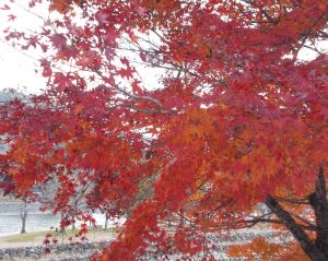 f:id:miracle-magic:20200110222251j:plain