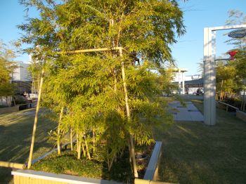 f:id:miracle-magic:20201130191811j:plain