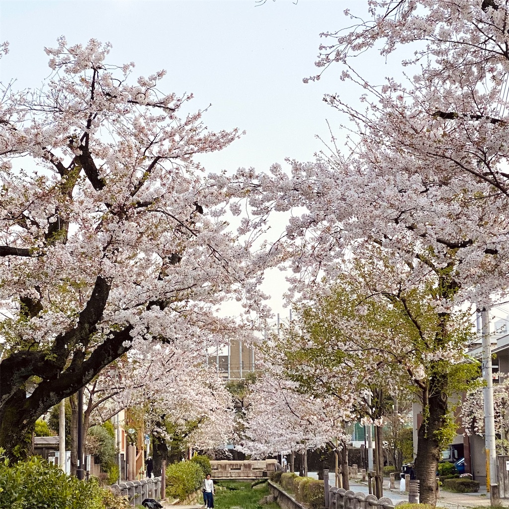 f:id:miracle-wink:20210331222957j:image