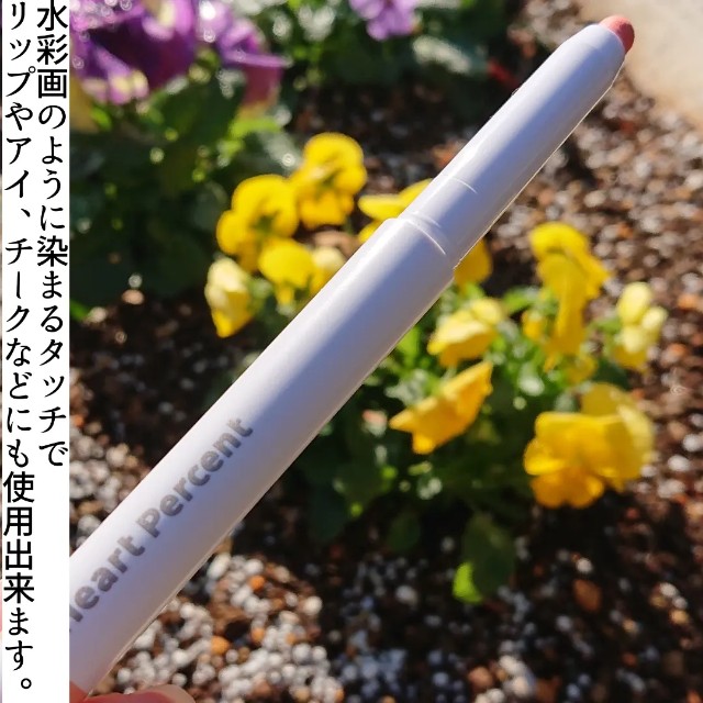 f:id:miracleusagi:20221218111215j:image
