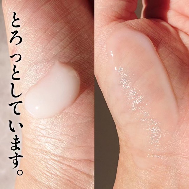 f:id:miracleusagi:20231229125547j:image