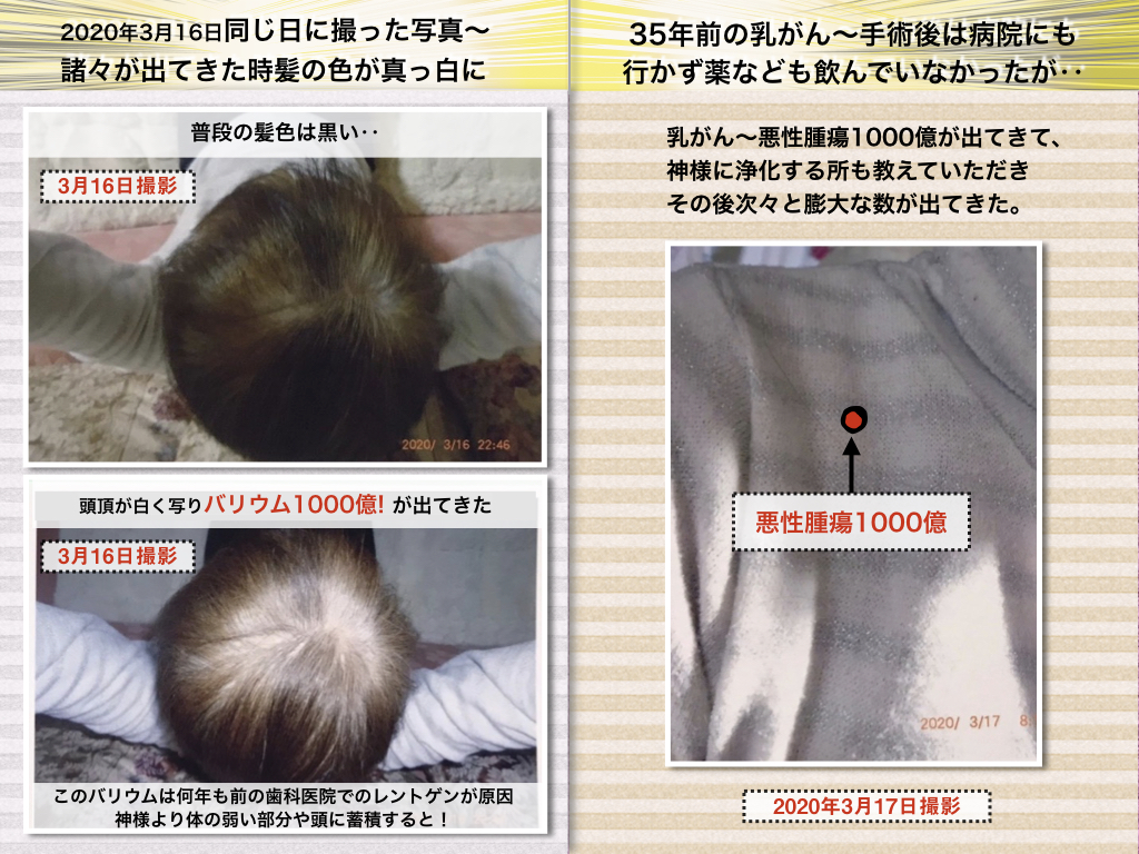 f:id:mirai-hadou:20200322222016j:plain