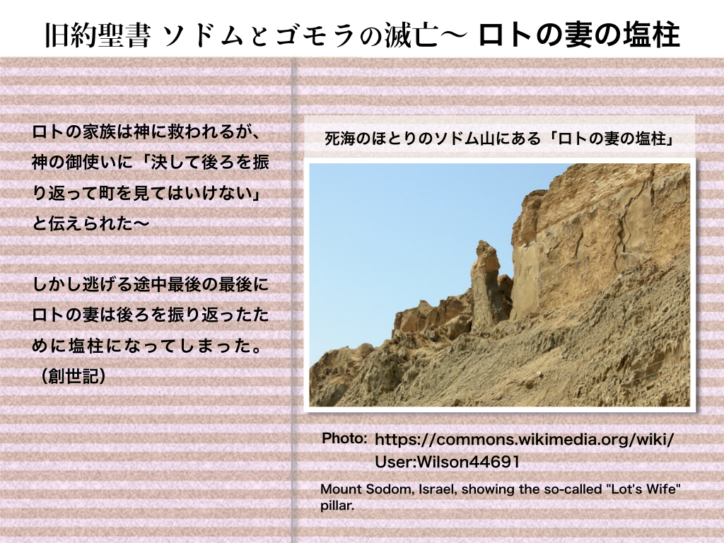 f:id:mirai-hadou:20200405183728j:plain
