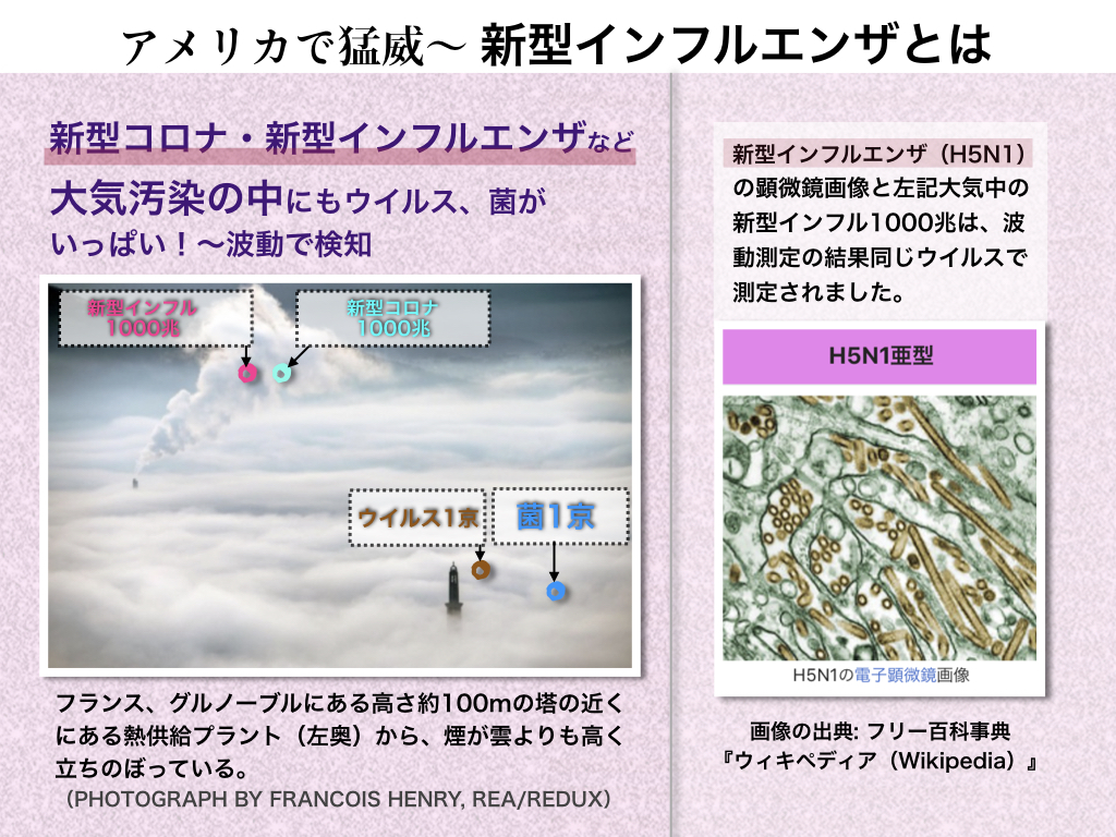 f:id:mirai-hadou:20200416001006j:plain