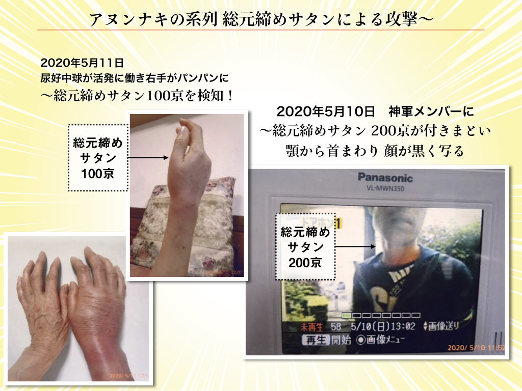 f:id:mirai-hadou:20200512195546j:plain