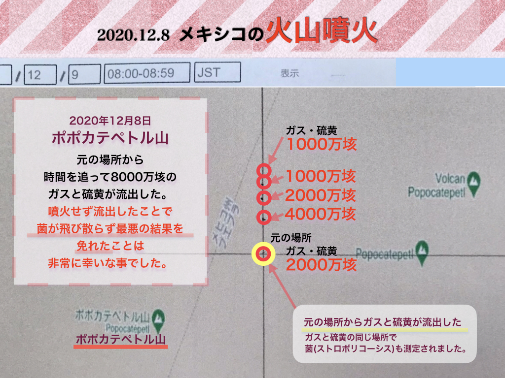 f:id:mirai-hadou:20201209203508j:plain