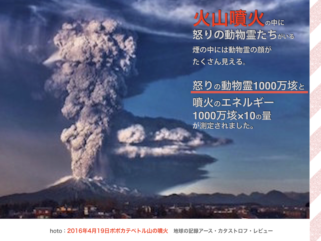 f:id:mirai-hadou:20201209204405j:plain