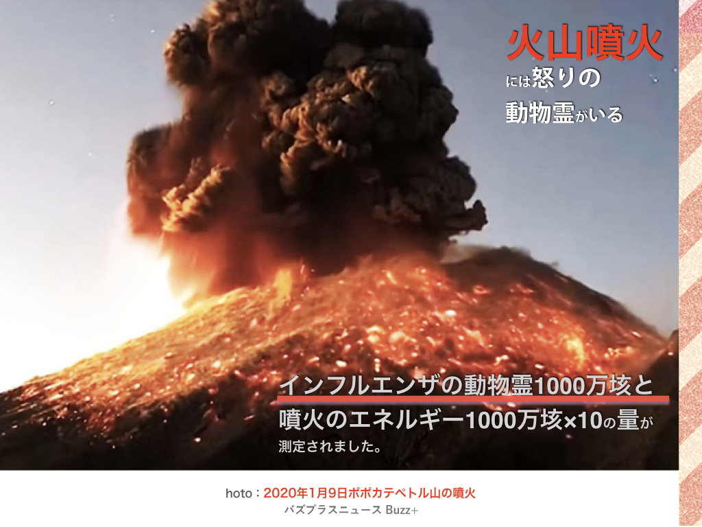 f:id:mirai-hadou:20201209204509j:plain