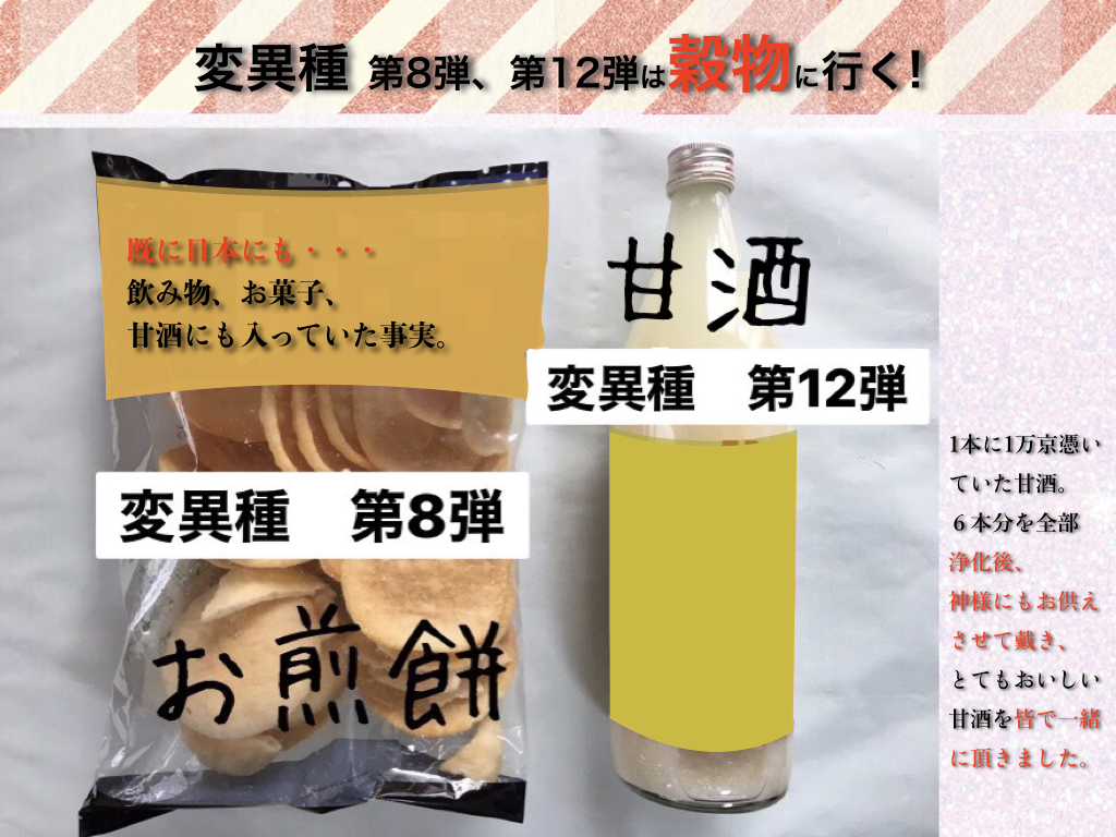 f:id:mirai-hadou:20210113000425j:plain