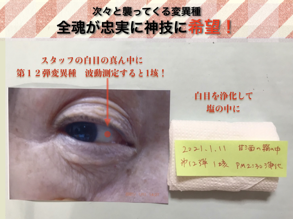 f:id:mirai-hadou:20210113000942j:plain