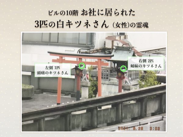 f:id:mirai-hadou:20210705231936j:plain