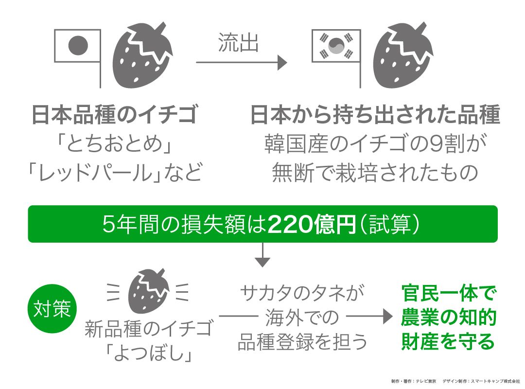 f:id:mirai3334:20210111233008j:plain