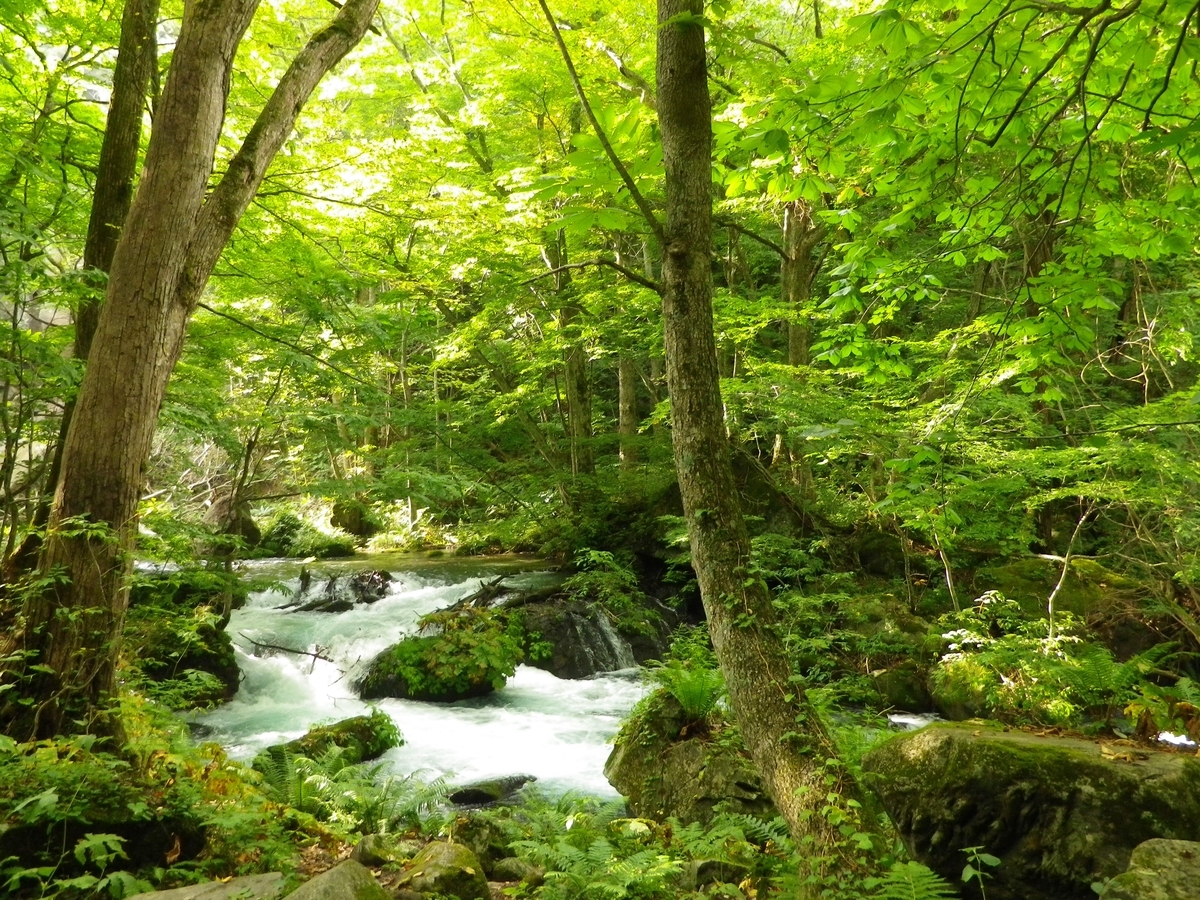 f:id:mirai_go:20201003194436j:plain f:id:mirai_go:20201003194436j:plain