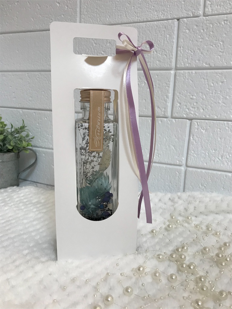 f:id:mirailogicalcraft:20190207165912j:image