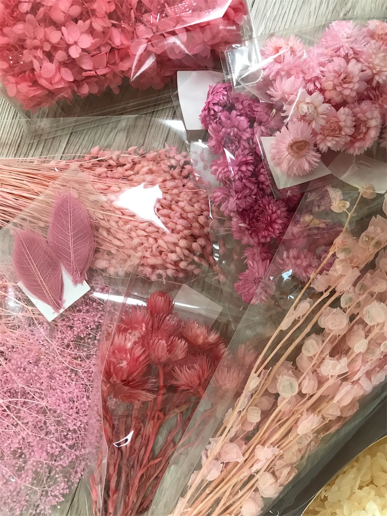 f:id:mirailogicalcraft:20190207165932j:image