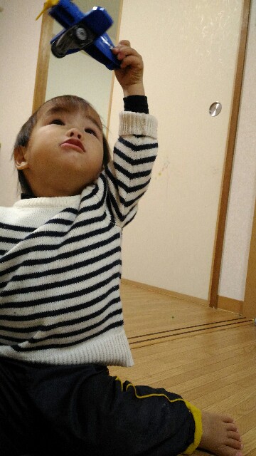 f:id:miraimikiki0201:20170130003157j:image f:id:miraimikiki0201:20170130003157j:image