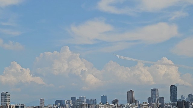 f:id:mirainbow:20250720194836j:image