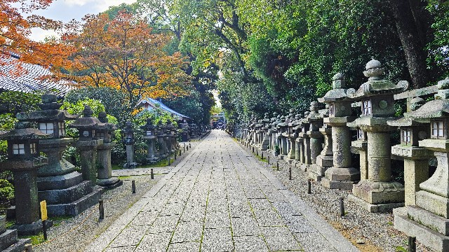 f:id:mirainbow:20251207061232j:image