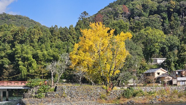 f:id:mirainbow:20251207062304j:image