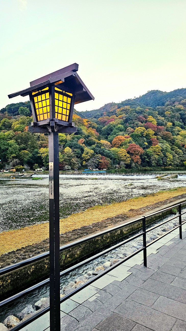 f:id:mirainbow:20260118084119j:image