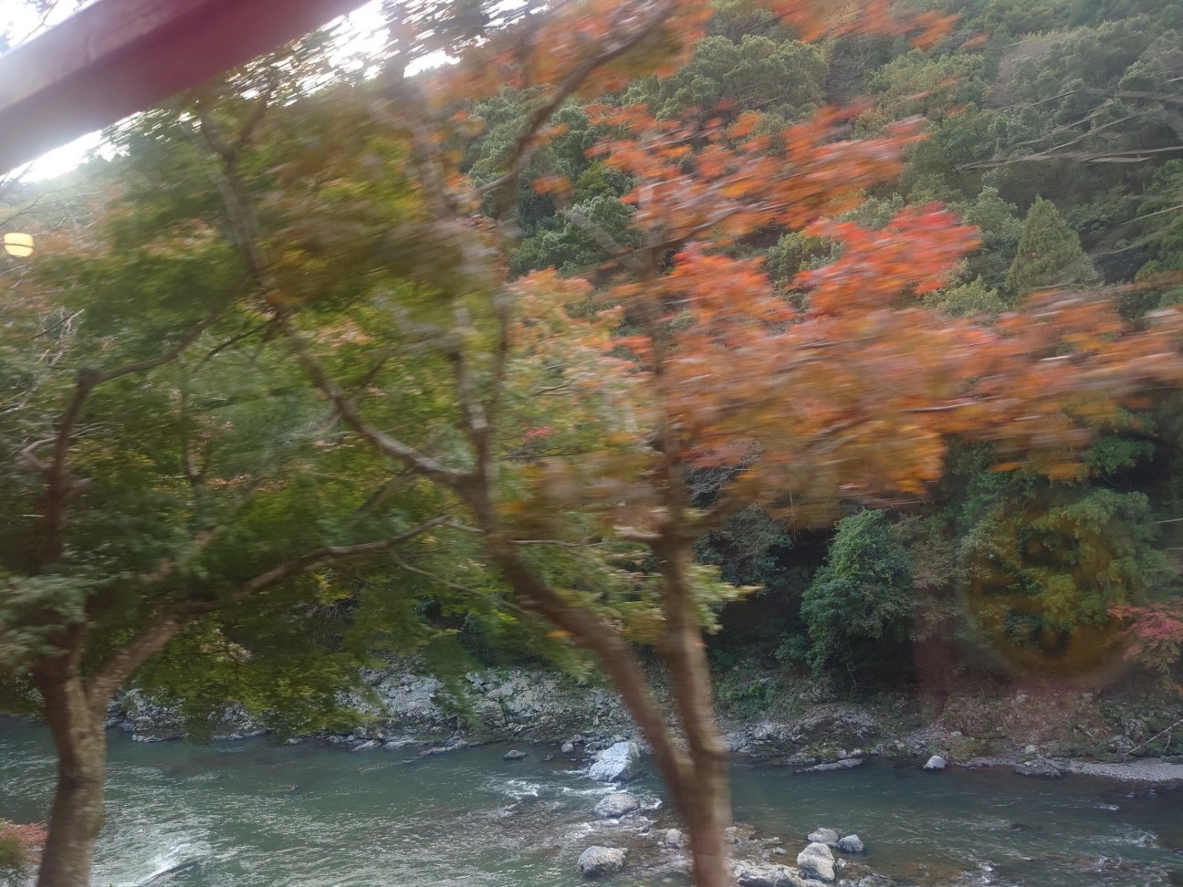 f:id:mirainbow:20260118090010j:image