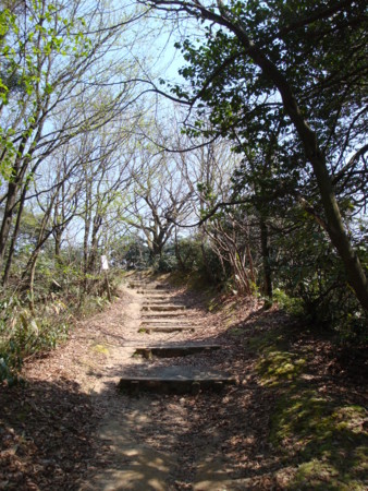 f:id:mirainodaifugoo:20090411124922j:image