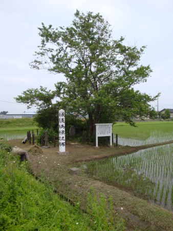f:id:mirainodaifugoo:20090530115056j:image f:id:mirainodaifugoo:20090530115056j:image
