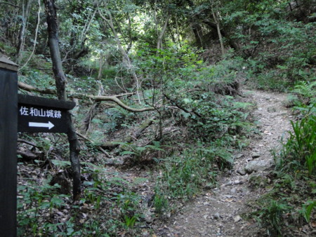 f:id:mirainodaifugoo:20090921065544j:image f:id:mirainodaifugoo:20090921065544j:image