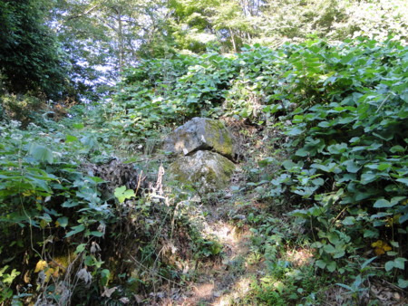 f:id:mirainodaifugoo:20090921071842j:image f:id:mirainodaifugoo:20090921071842j:image