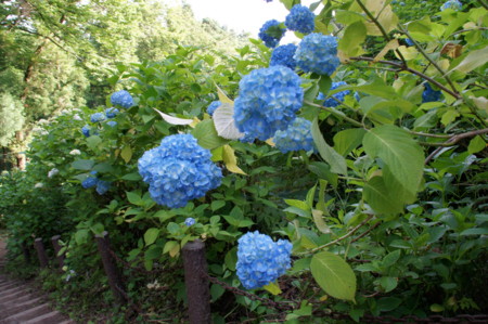 f:id:mirainodaifugoo:20100626064347j:image