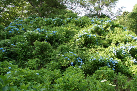 f:id:mirainodaifugoo:20100626064507j:image