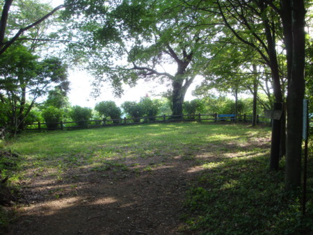 f:id:mirainodaifugoo:20100626064637j:image