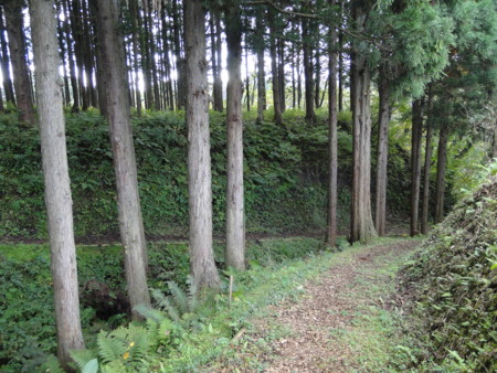 f:id:mirainodaifugoo:20101016144001j:image