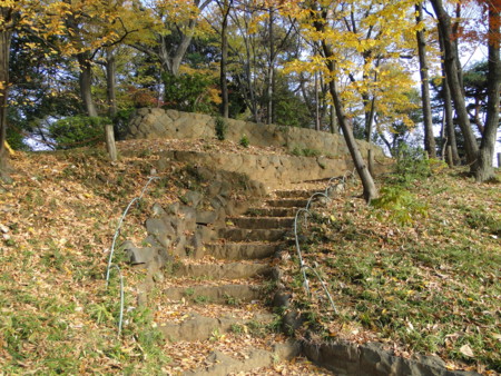 f:id:mirainodaifugoo:20101202090056j:image