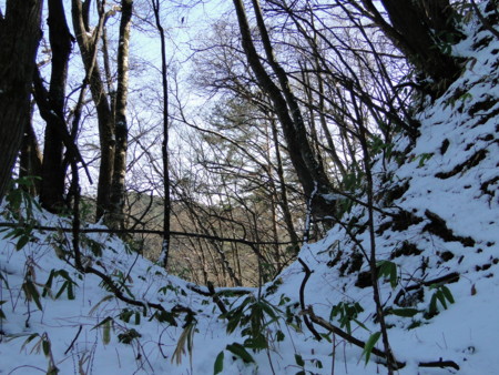 f:id:mirainodaifugoo:20101211094928j:image