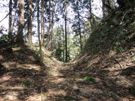 f:id:mirainodaifugoo:20110508134643j:image