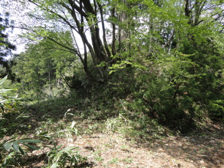 f:id:mirainodaifugoo:20110508140100j:image