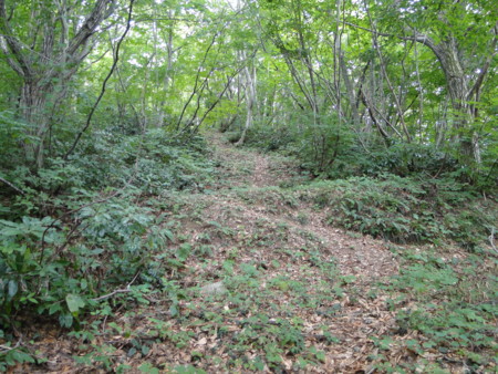 f:id:mirainodaifugoo:20120817100846j:image