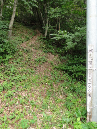 f:id:mirainodaifugoo:20120817100900j:image