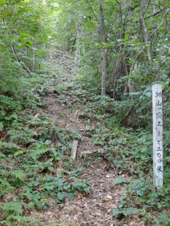 f:id:mirainodaifugoo:20120817100928j:image