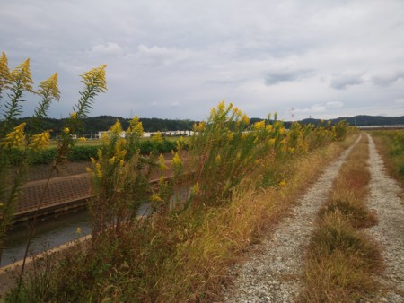 f:id:mirainodaifugoo:20151013214148j:image