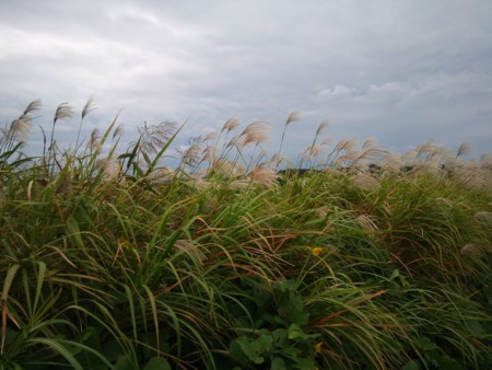 f:id:mirainodaifugoo:20151013214219j:image