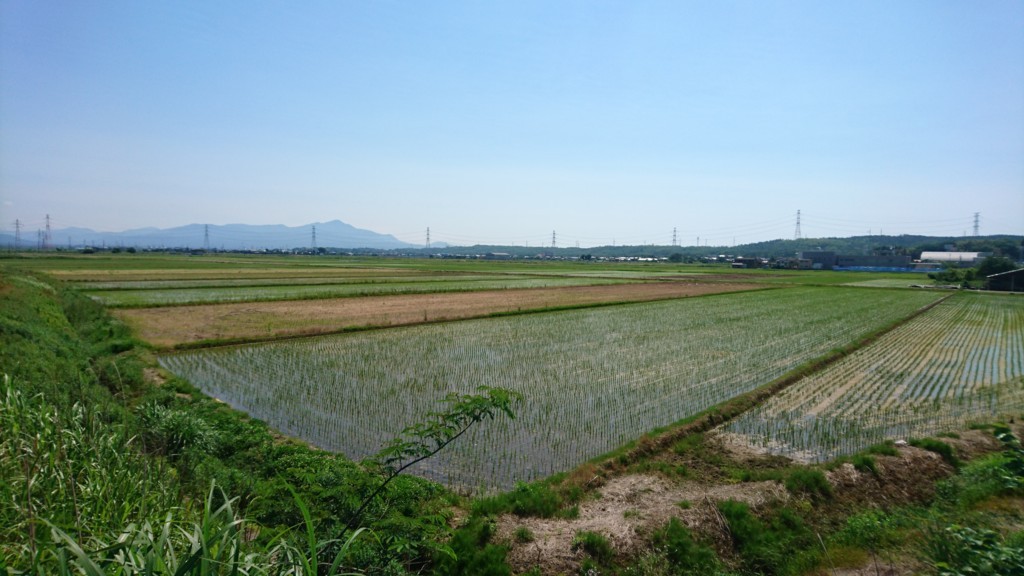 f:id:mirainodaifugoo:20180602153936j:plain