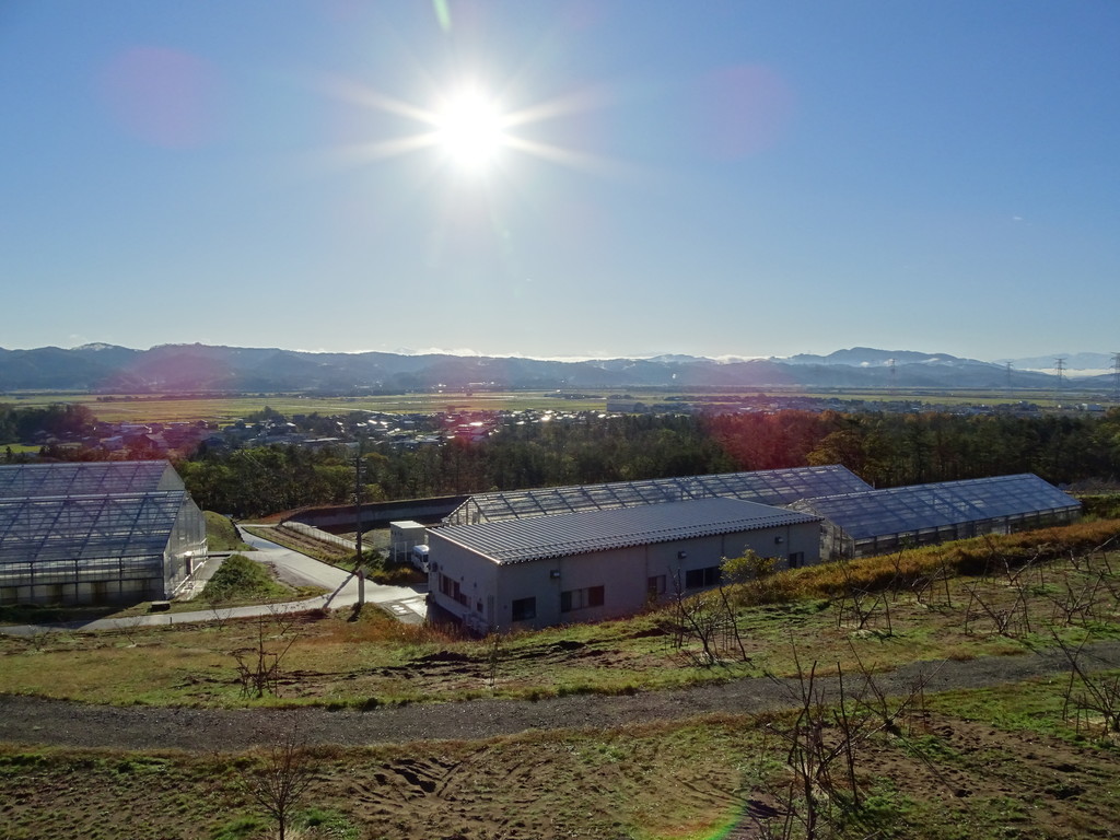 f:id:mirainodaifugoo:20181124122012j:plain