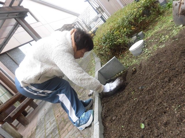 f:id:miraireport:20180126232031j:plain