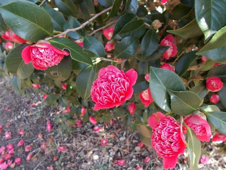 f:id:miraireport:20180323195532j:plain