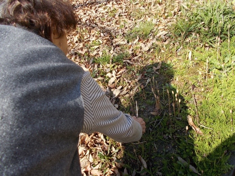 f:id:miraireport:20180323195722j:plain