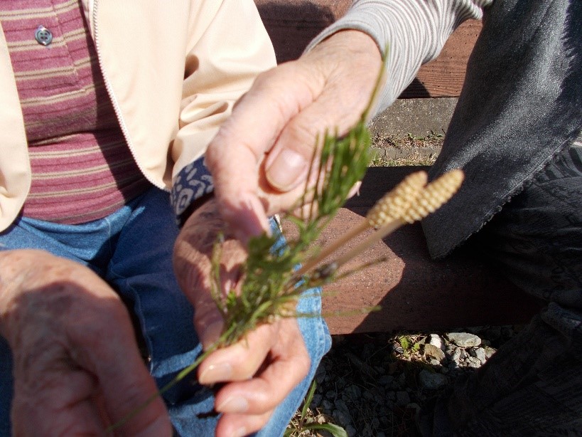 f:id:miraireport:20180323195817j:plain