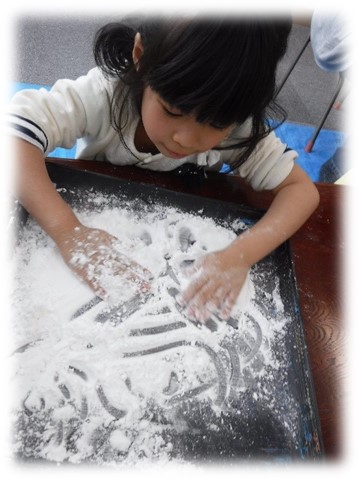 f:id:miraireport:20190519153857j:plain f:id:miraireport:20190519153857j:plain